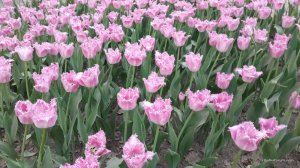 20170507_195018.jpg