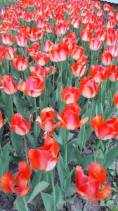 20170507_193836.jpg