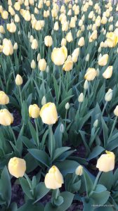 20170507_191919.jpg