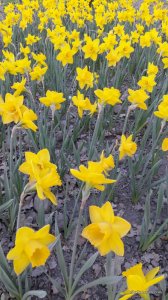20170507_190424.jpg