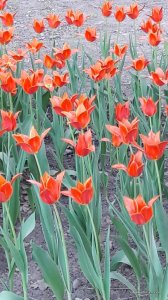 20170507_190158.jpg