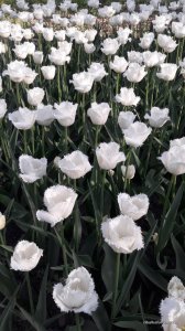 20170507_173514.jpg