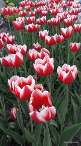 20170507_171644.jpg
