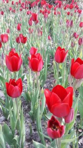 20170507_165905.jpg