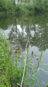 IMG_20170513_103749.jpg