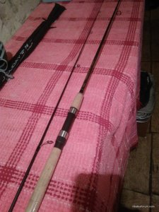 IMG_20170513_183033.jpg
