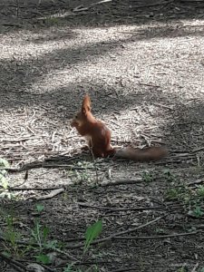 20170507_164528~01.jpg