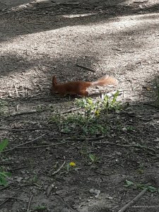 20170507_164522~01.jpg