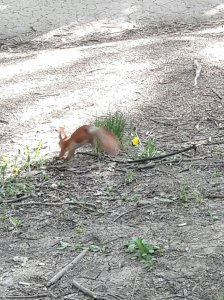 20170507_164509~01.jpg