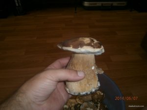 Изображение 550.jpg