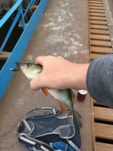 IMG_5184.JPG