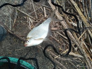 IMG_20170514_164946.jpg