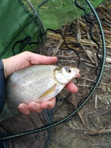 IMG_20170514_173632.jpg