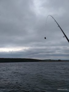 IMG_20170514_173352.jpg