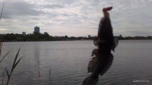 2017-05-15-533.jpg