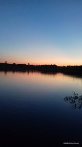 20170515_204747.jpg