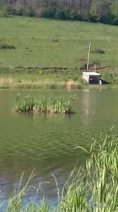 20170516_083124.jpg