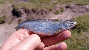 PHOTO_20170516_115920.jpg