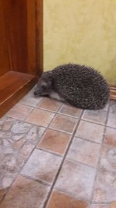 20170516_220624.jpg
