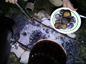 IMG_20170520_215556.jpg