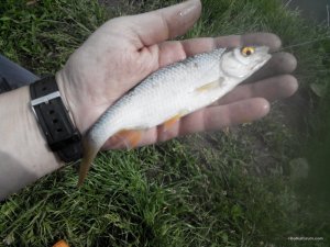 2017521151309.jpg