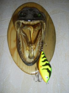 PIC_0119.JPG