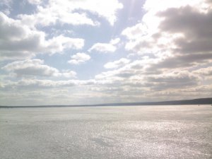 SP_A0858.jpg