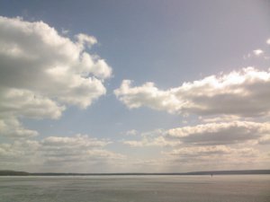 SP_A0859.jpg