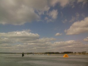 SP_A0860.jpg