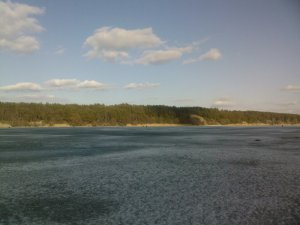SP_A0864.jpg