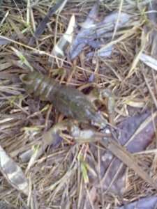 26032012273.jpg