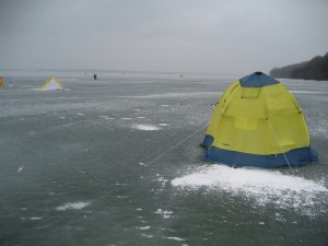 IMG_0179.JPG