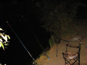 IMG_0599.JPG