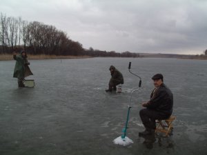 PICT0008.JPG