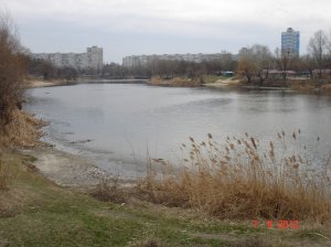 17.JPG