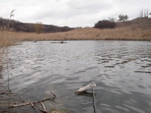 DSCF2887.JPG