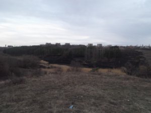 DSCF2905.JPG