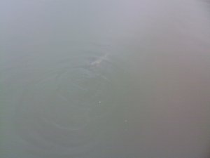 SP_A0891.jpg