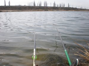 P4130001.JPG