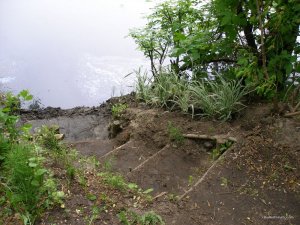 P1010074.JPG