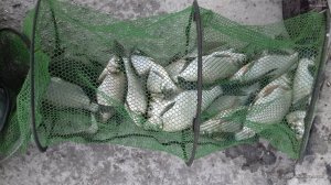 20170521_144535.jpg
