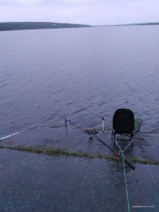 IMG_20170521_223616.jpg