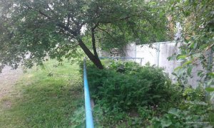 2017-05-21 15-42-39.JPG