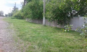 2017-05-21 15-42-52.JPG