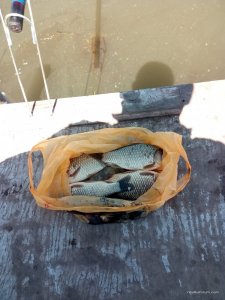 IMG_20170523_104303.jpg
