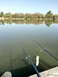 IMG_20170523_081927.jpg