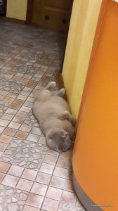 20170524_000744.jpg