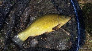 20170524_115630.jpg