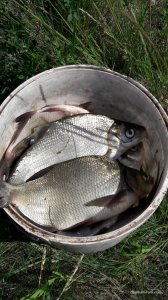 20170524_141448.jpg
