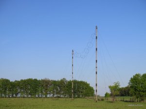 IMG_2676.JPG